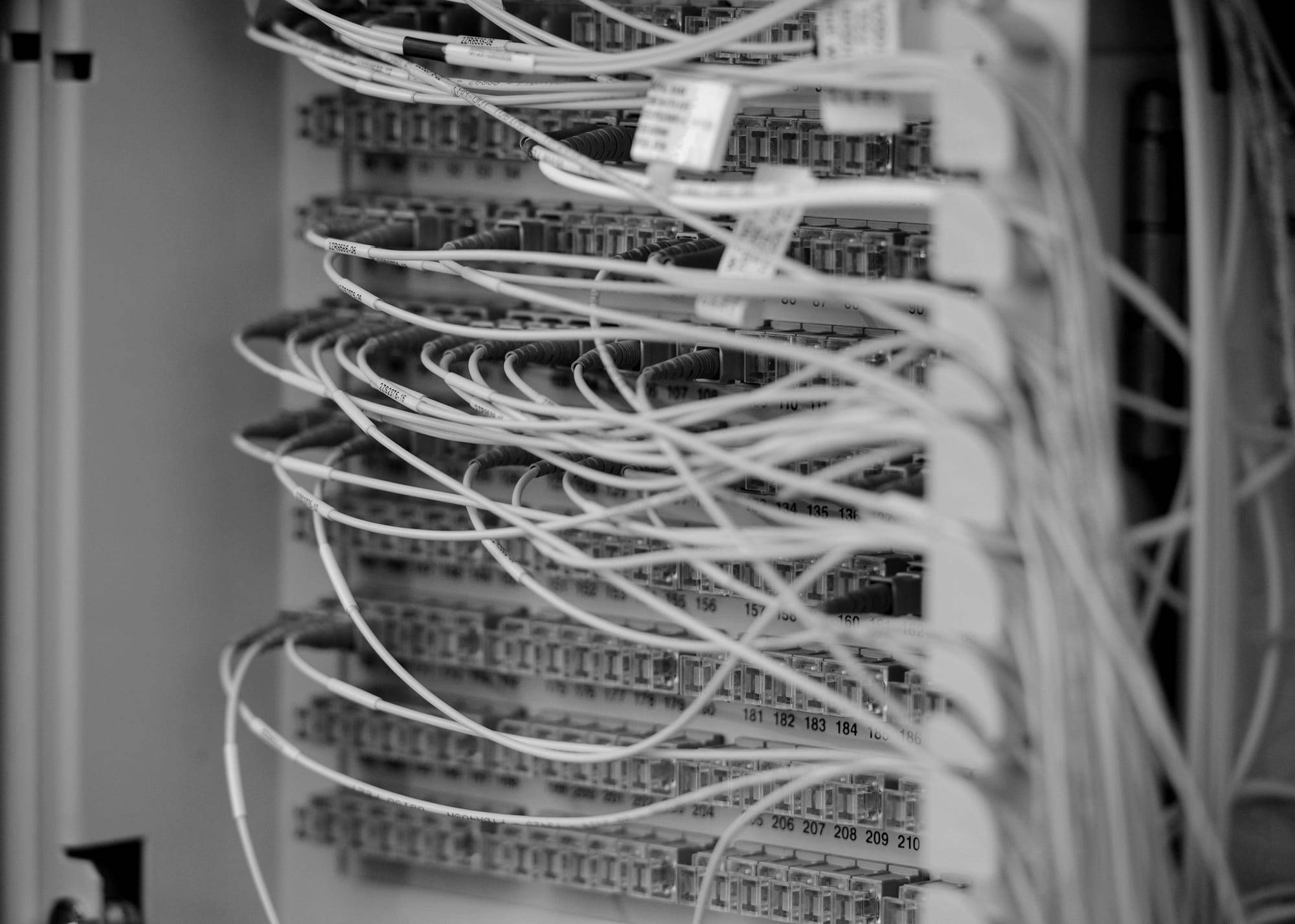 Close view of network cables plugged into a data center switch